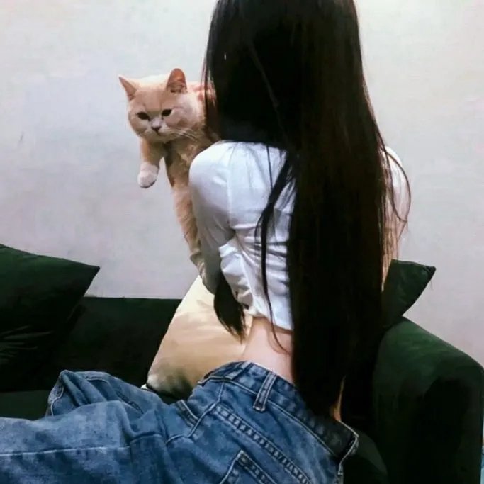 求救眨眨眼